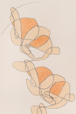 Image 9 of 19