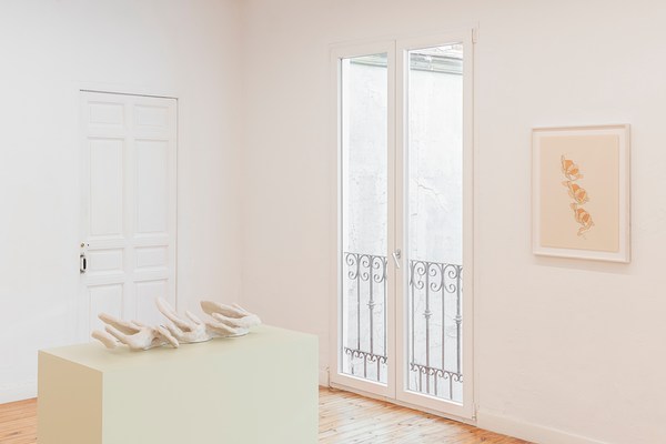 Image 12 of 19