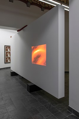 Image 3 of 26