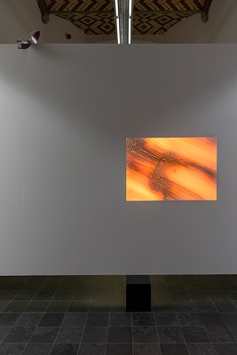 Image 2 of 26