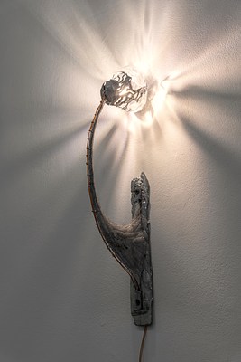 Image 5 of 26