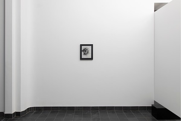 Image 17 of 26