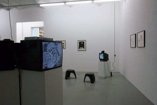 Image 3 of 22