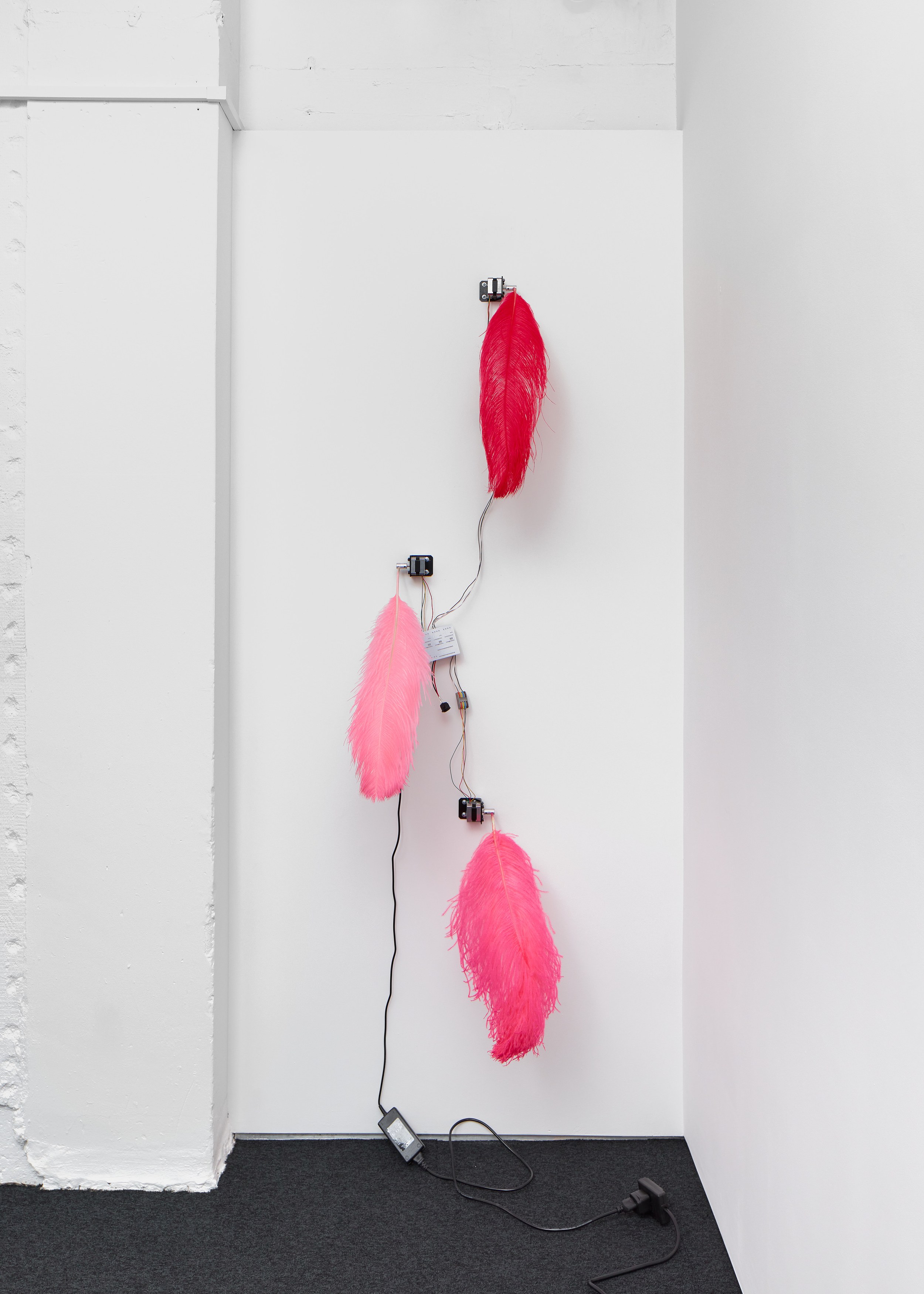 Robert Sandler, Novelty Automation at A. Squire, photo 17