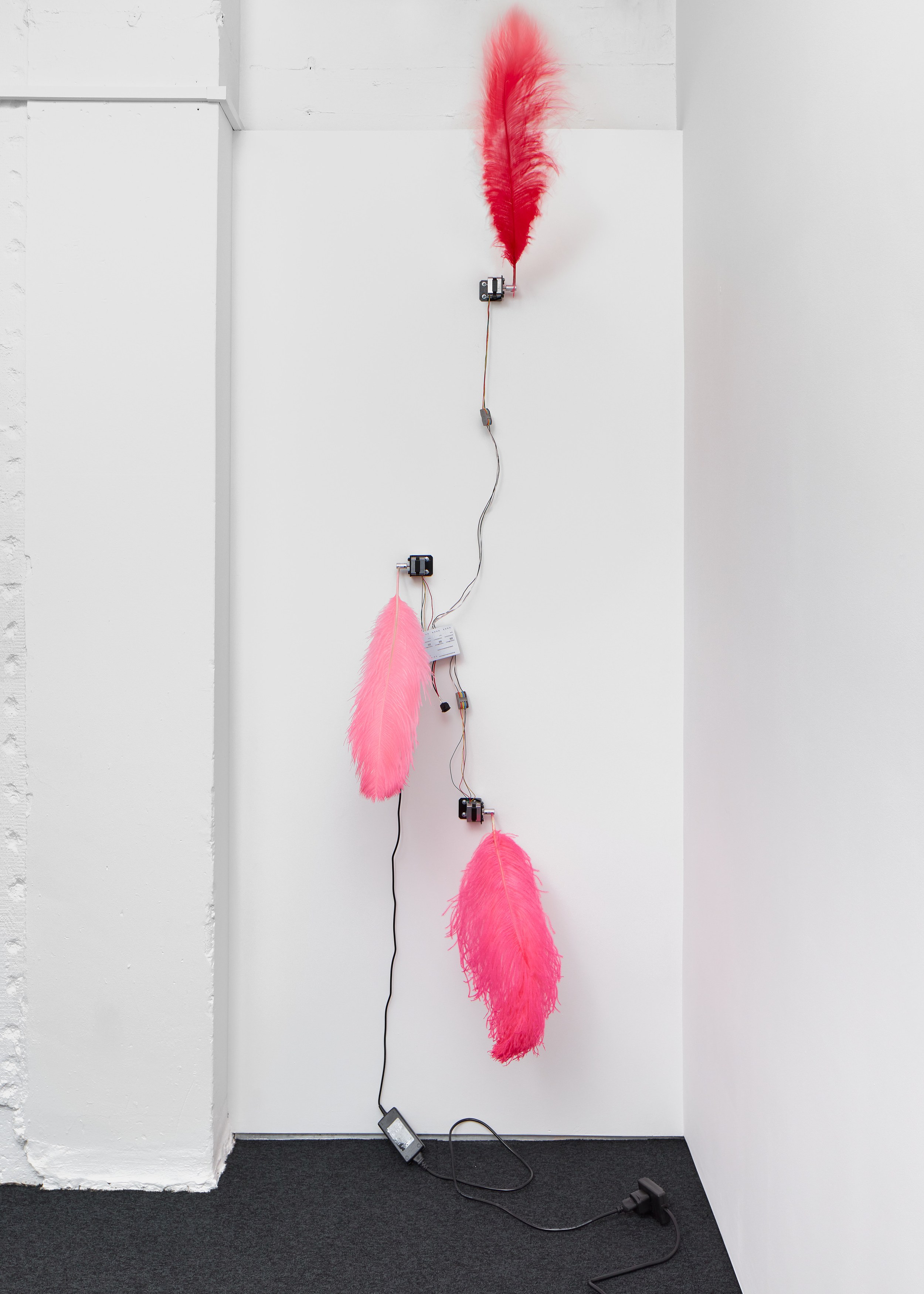 Robert Sandler, Novelty Automation at A. Squire, photo 18