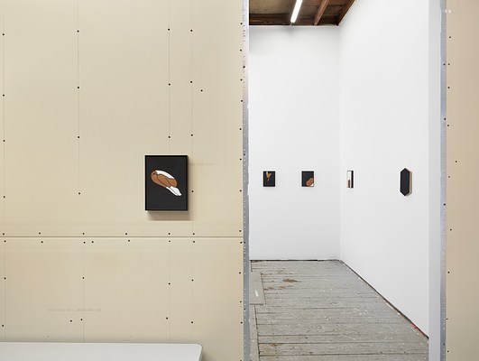 Image 4 of 19