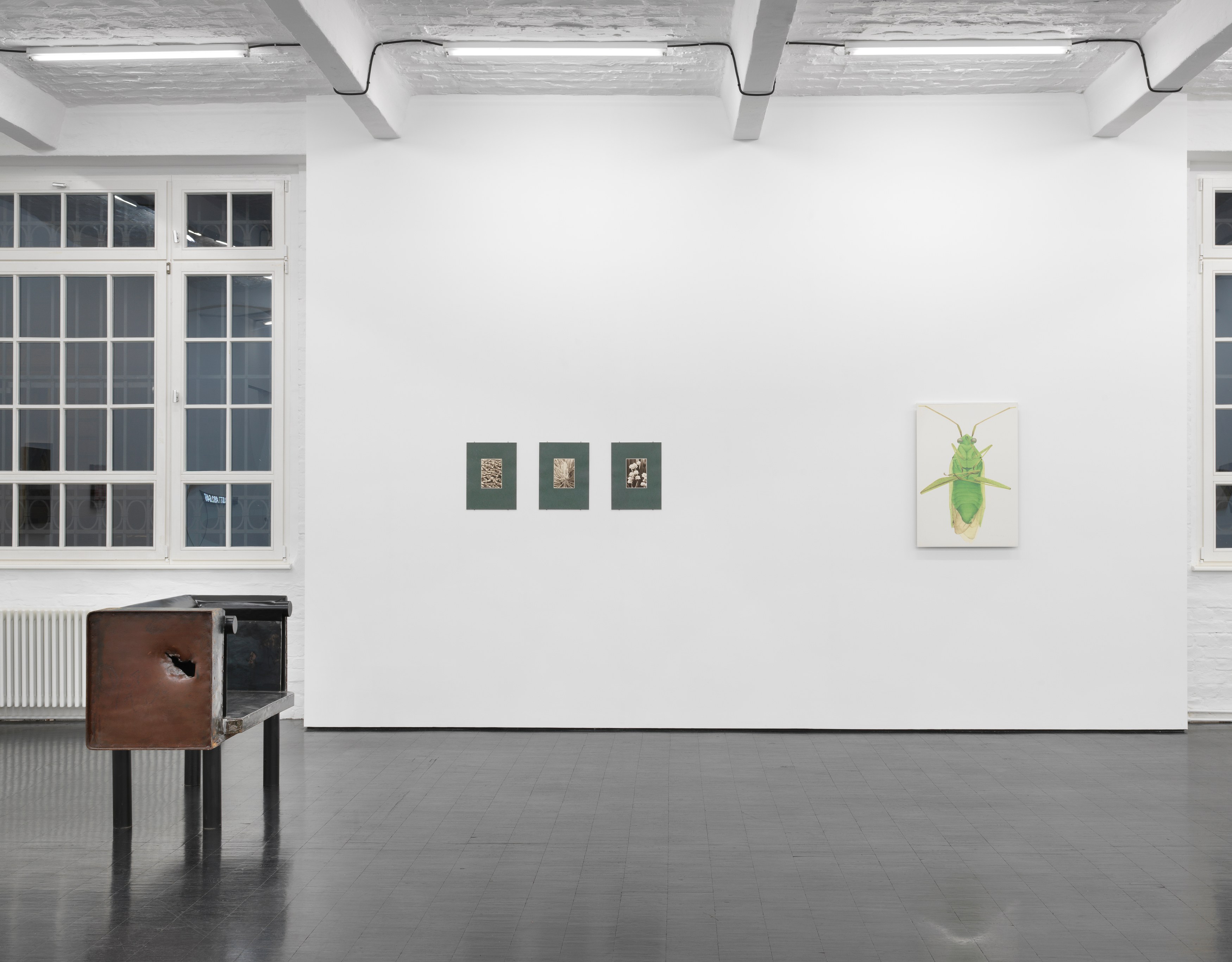 Mimesis, Mimesis at Trautwein Herleth, photo 6