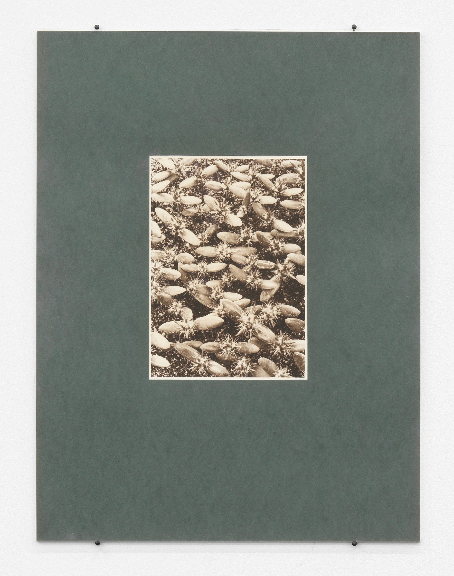 Mimesis, Mimesis at Trautwein Herleth, photo 8