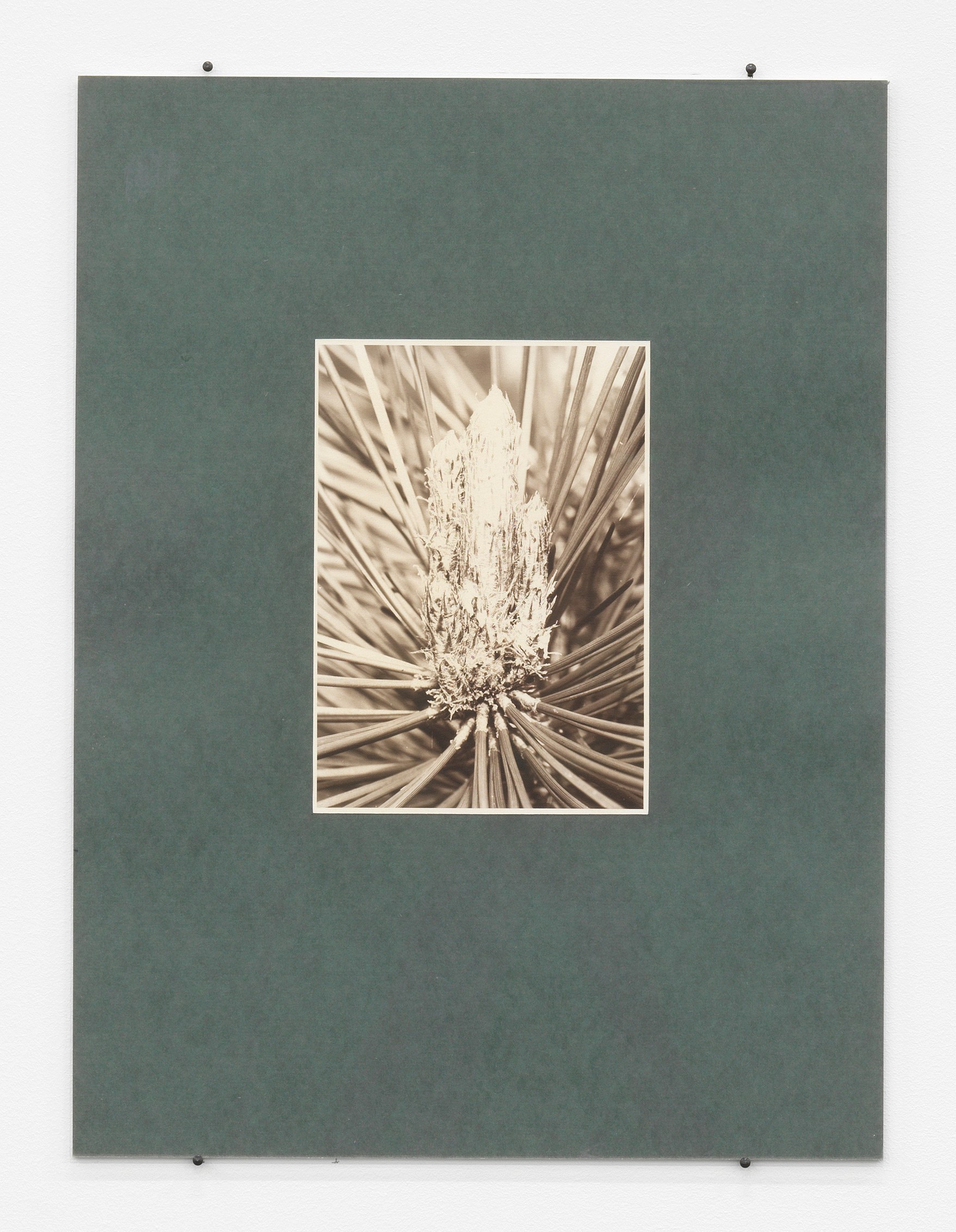 Mimesis, Mimesis at Trautwein Herleth, photo 9