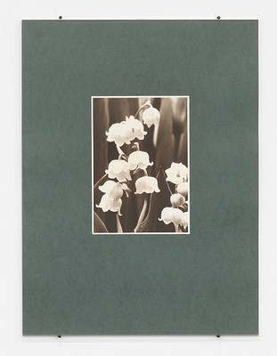 Image 10 of 32