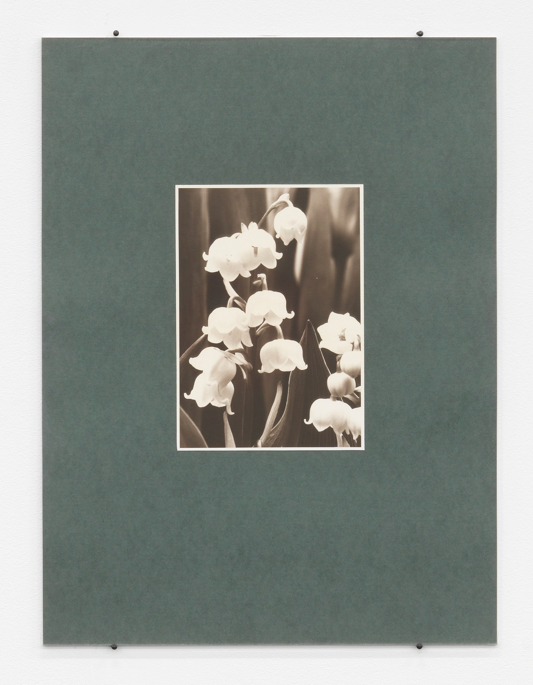 Mimesis, Mimesis at Trautwein Herleth, photo 10