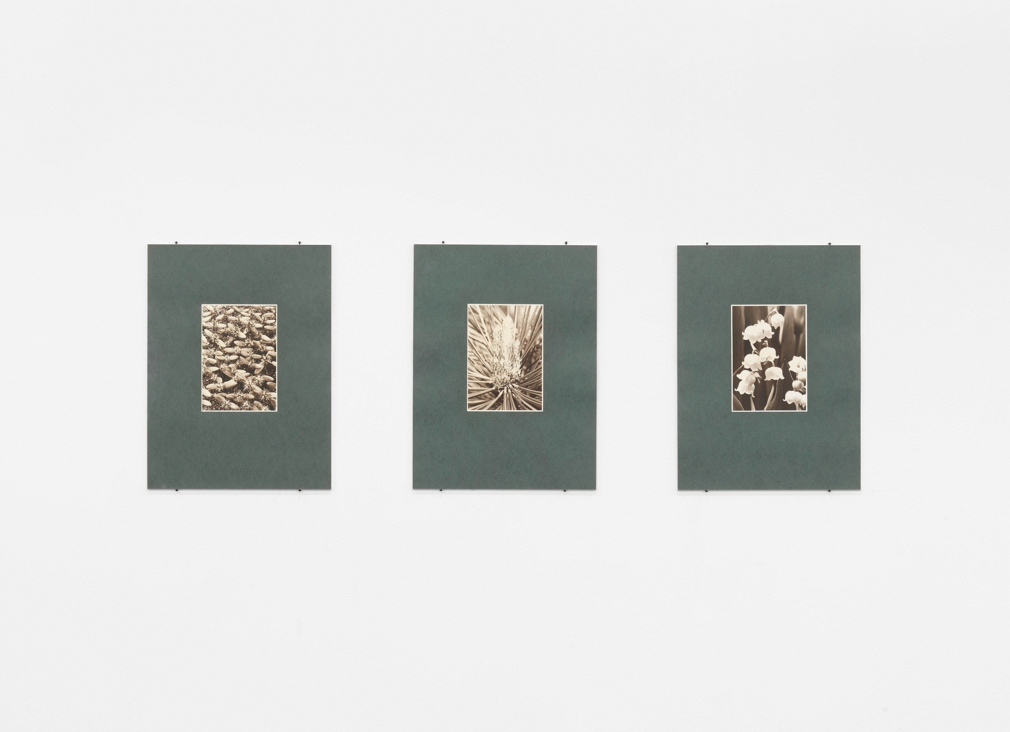 Mimesis, Mimesis at Trautwein Herleth, photo 7