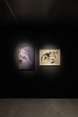 Image 9 of 29