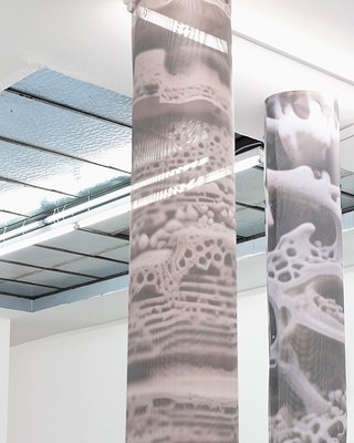 Image 16 of 22