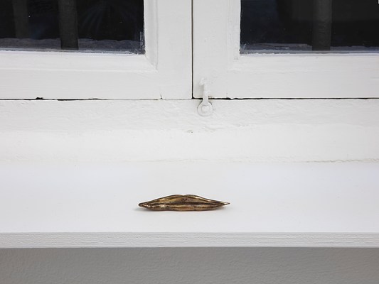 Image 8 of 8