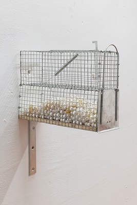 Image 30 of 30