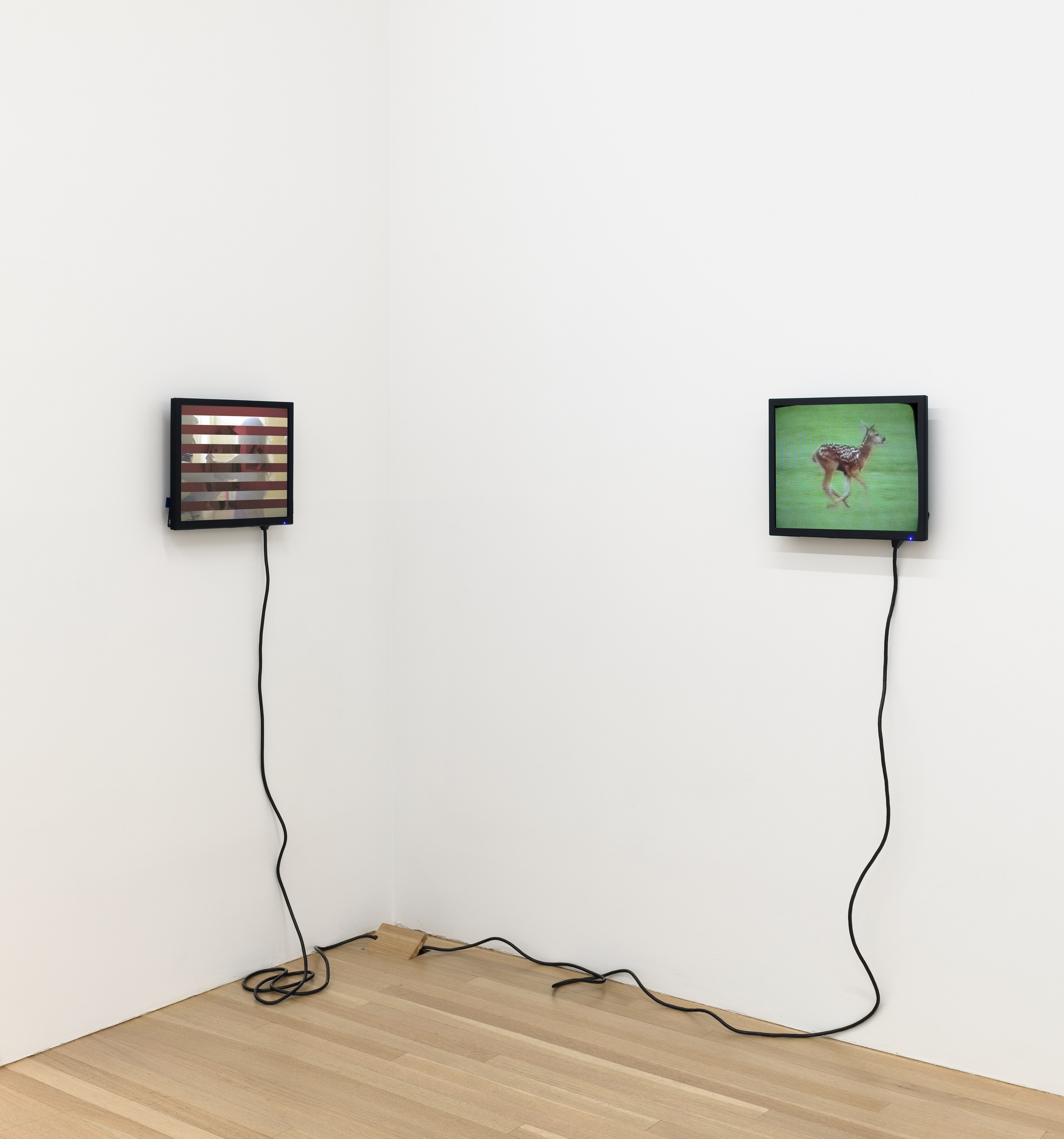 <div>Critical Melancholia <br>with a footnote on the idea of natural history in Jack Smith </div>, <div>Critical Melancholia <br>with a footnote on the idea of natural history in Jack Smith </div> at Galerie Buchholz, Berlin, photo 8