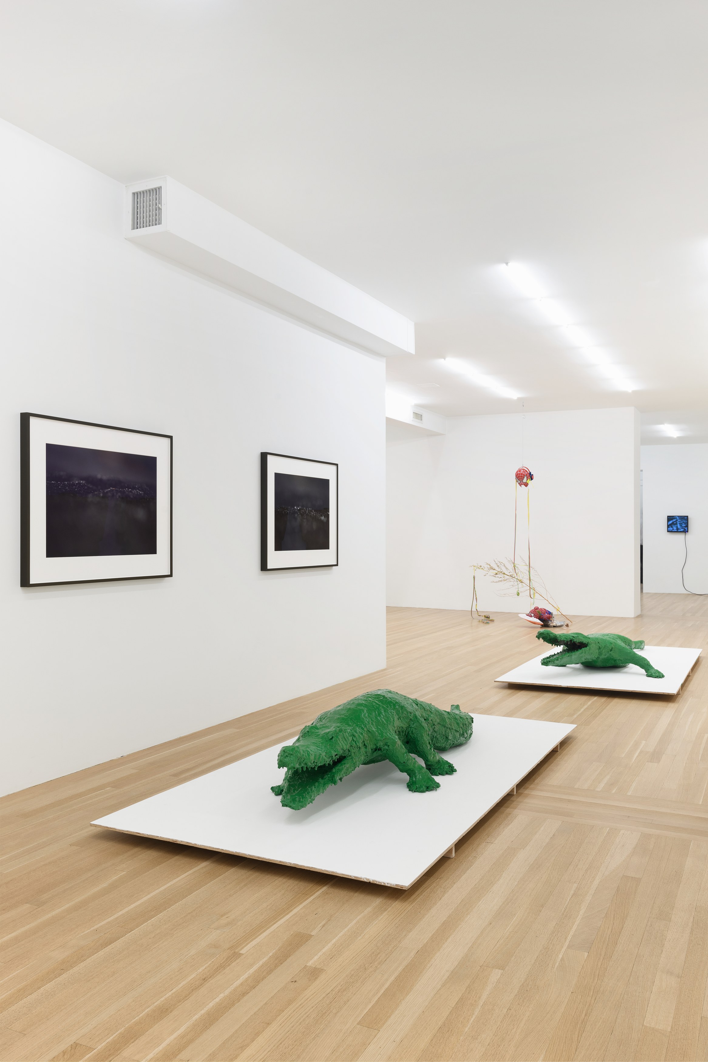 <div>Critical Melancholia <br>with a footnote on the idea of natural history in Jack Smith </div>, <div>Critical Melancholia <br>with a footnote on the idea of natural history in Jack Smith </div> at Galerie Buchholz, Berlin, photo 9