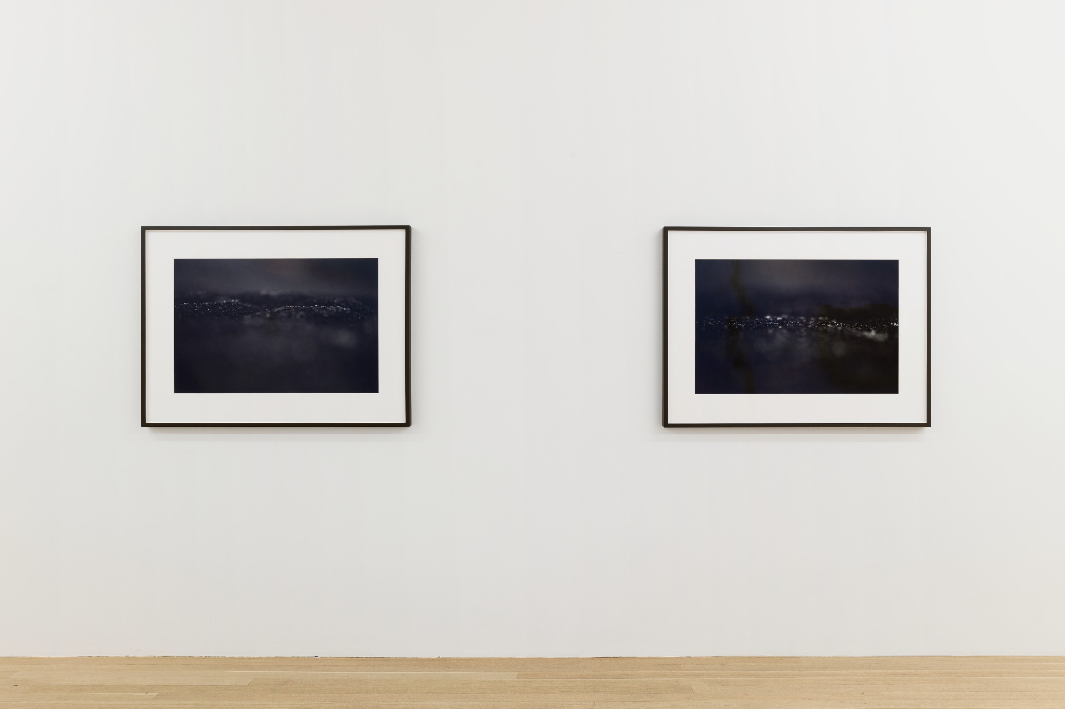 <div>Critical Melancholia <br>with a footnote on the idea of natural history in Jack Smith </div>, <div>Critical Melancholia <br>with a footnote on the idea of natural history in Jack Smith </div> at Galerie Buchholz, Berlin, photo 19