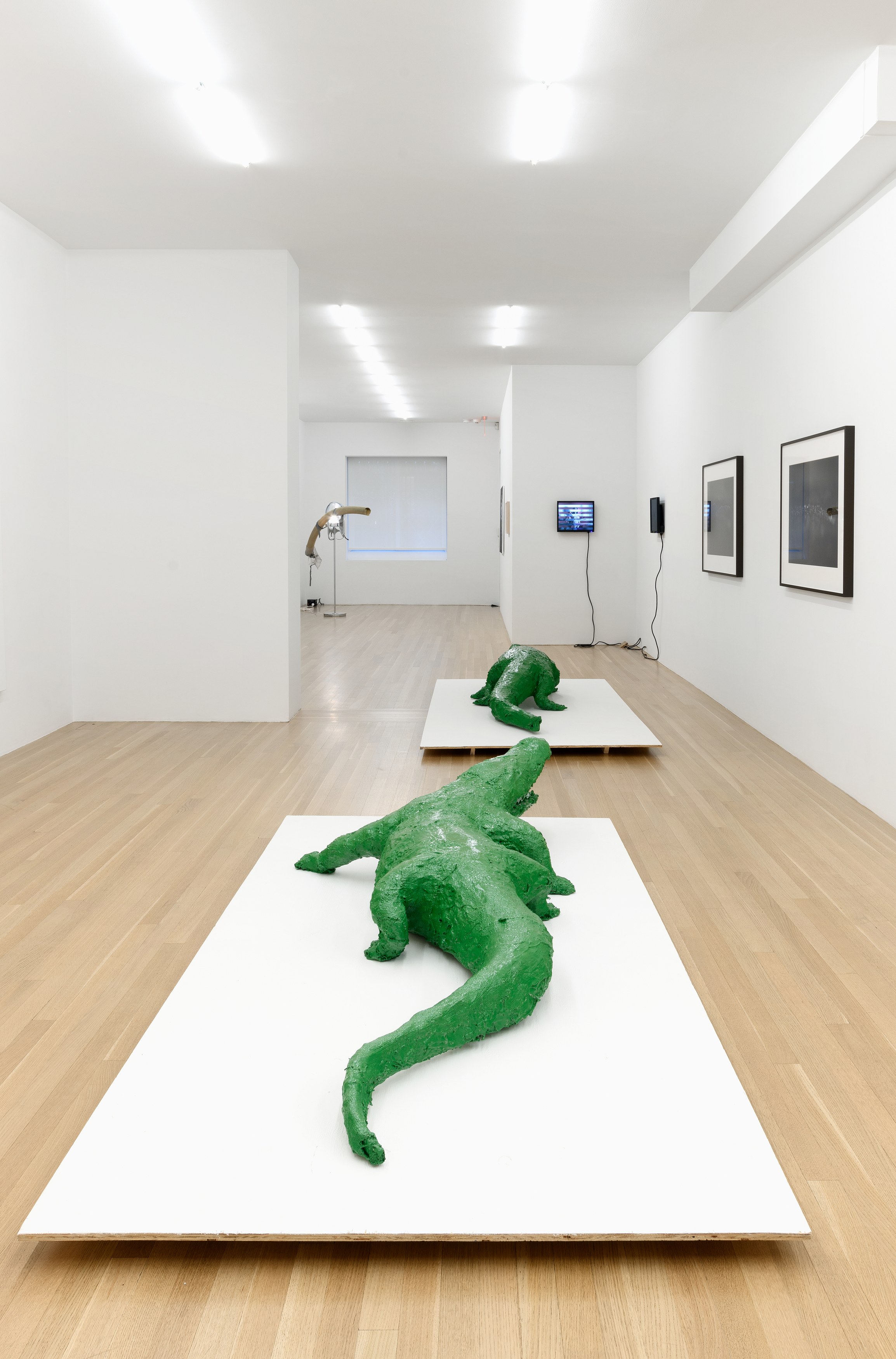 <div>Critical Melancholia <br>with a footnote on the idea of natural history in Jack Smith </div>, <div>Critical Melancholia <br>with a footnote on the idea of natural history in Jack Smith </div> at Galerie Buchholz, Berlin, photo 22
