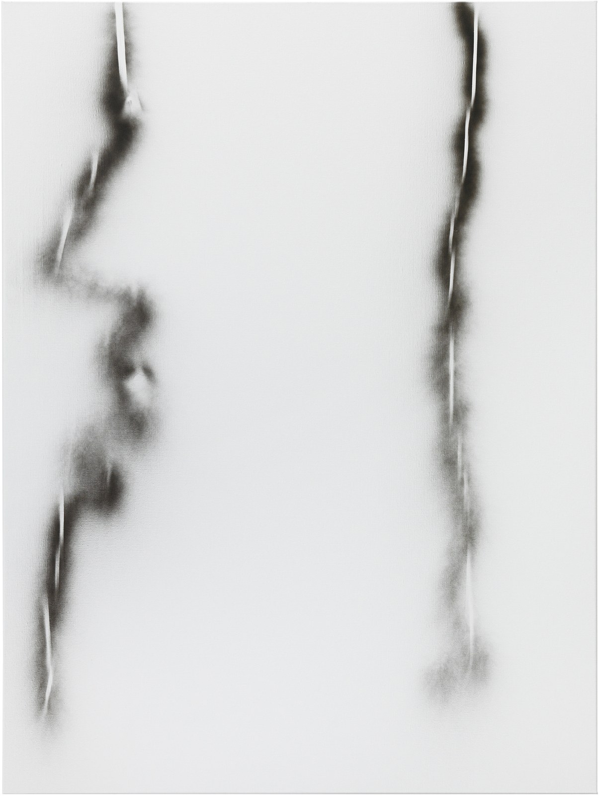 <div>Critical Melancholia <br>with a footnote on the idea of natural history in Jack Smith </div>, <div>Critical Melancholia <br>with a footnote on the idea of natural history in Jack Smith </div> at Galerie Buchholz, Berlin, photo 28