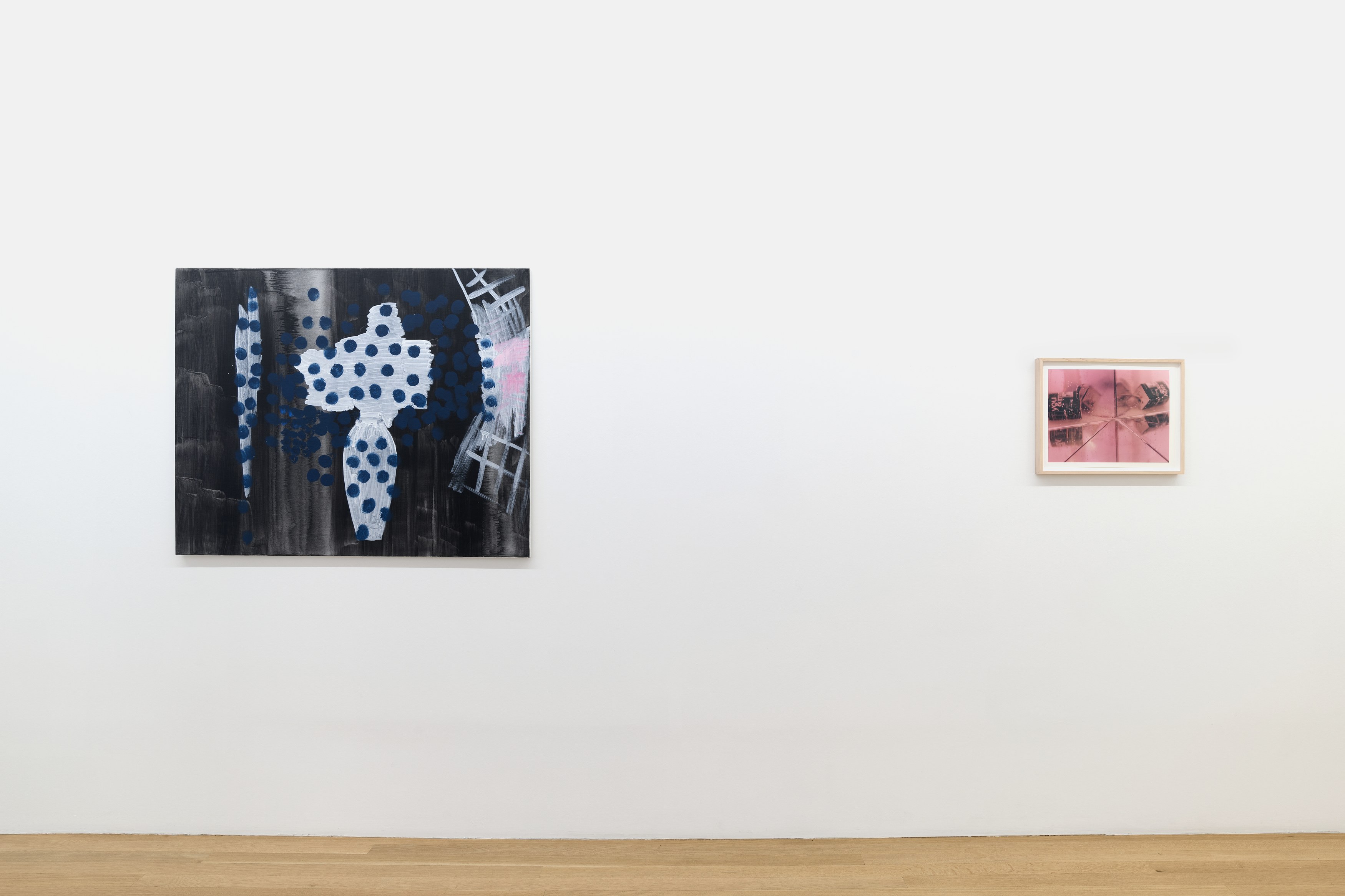 <div>Critical Melancholia <br>with a footnote on the idea of natural history in Jack Smith </div>, <div>Critical Melancholia <br>with a footnote on the idea of natural history in Jack Smith </div> at Galerie Buchholz, Berlin, photo 23