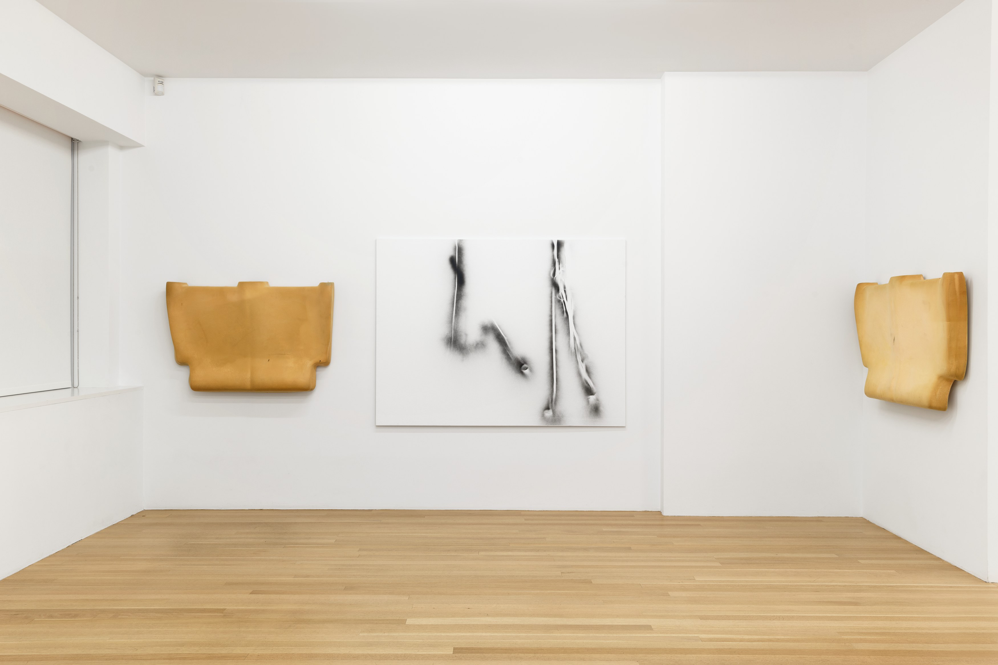 <div>Critical Melancholia <br>with a footnote on the idea of natural history in Jack Smith </div>, <div>Critical Melancholia <br>with a footnote on the idea of natural history in Jack Smith </div> at Galerie Buchholz, Berlin, photo 34