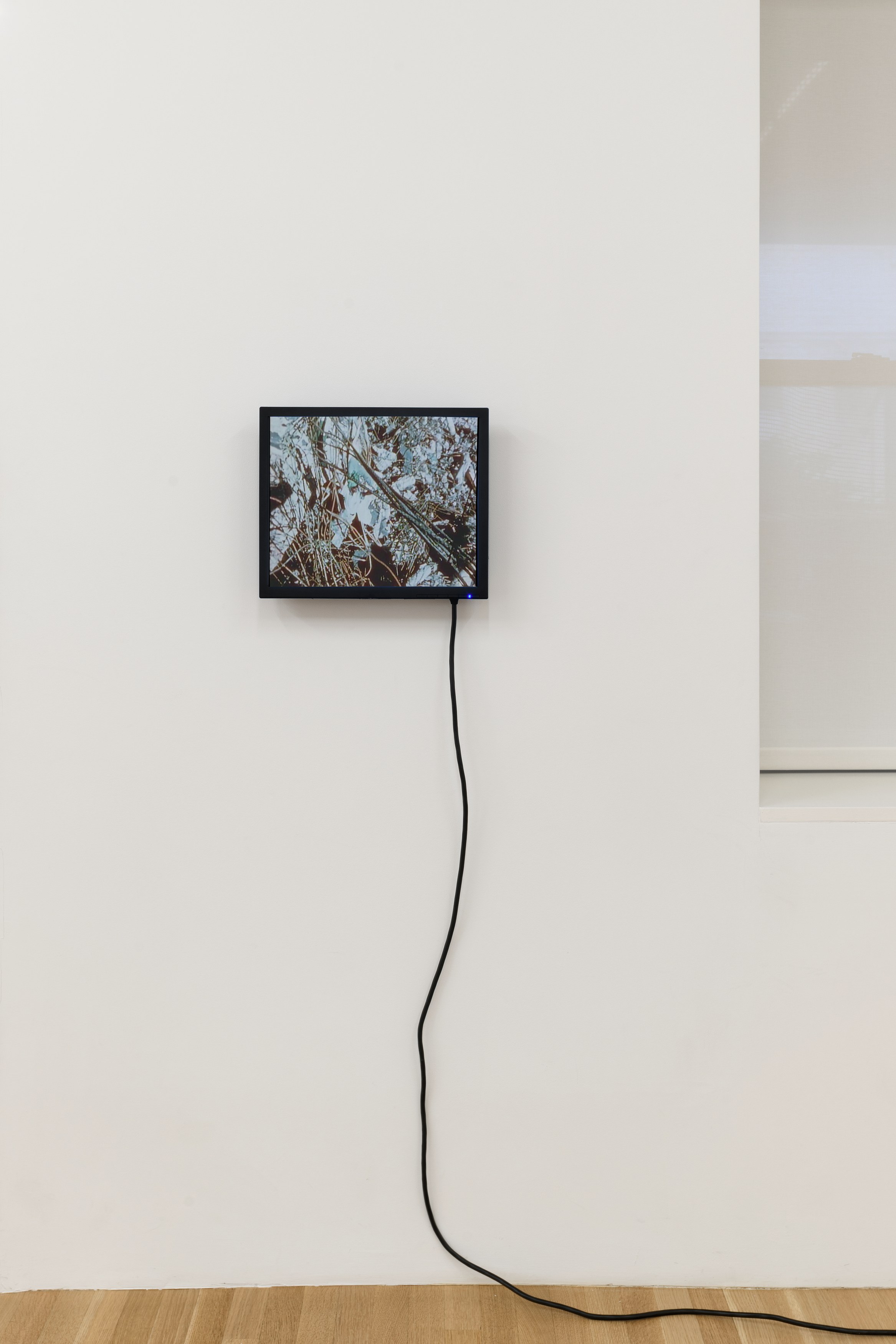 <div>Critical Melancholia <br>with a footnote on the idea of natural history in Jack Smith </div>, <div>Critical Melancholia <br>with a footnote on the idea of natural history in Jack Smith </div> at Galerie Buchholz, Berlin, photo 38