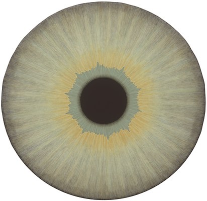 Image 21 of 21