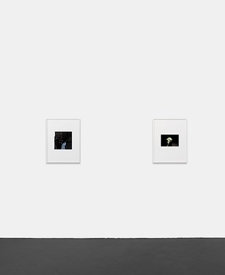 Image 1 of 33