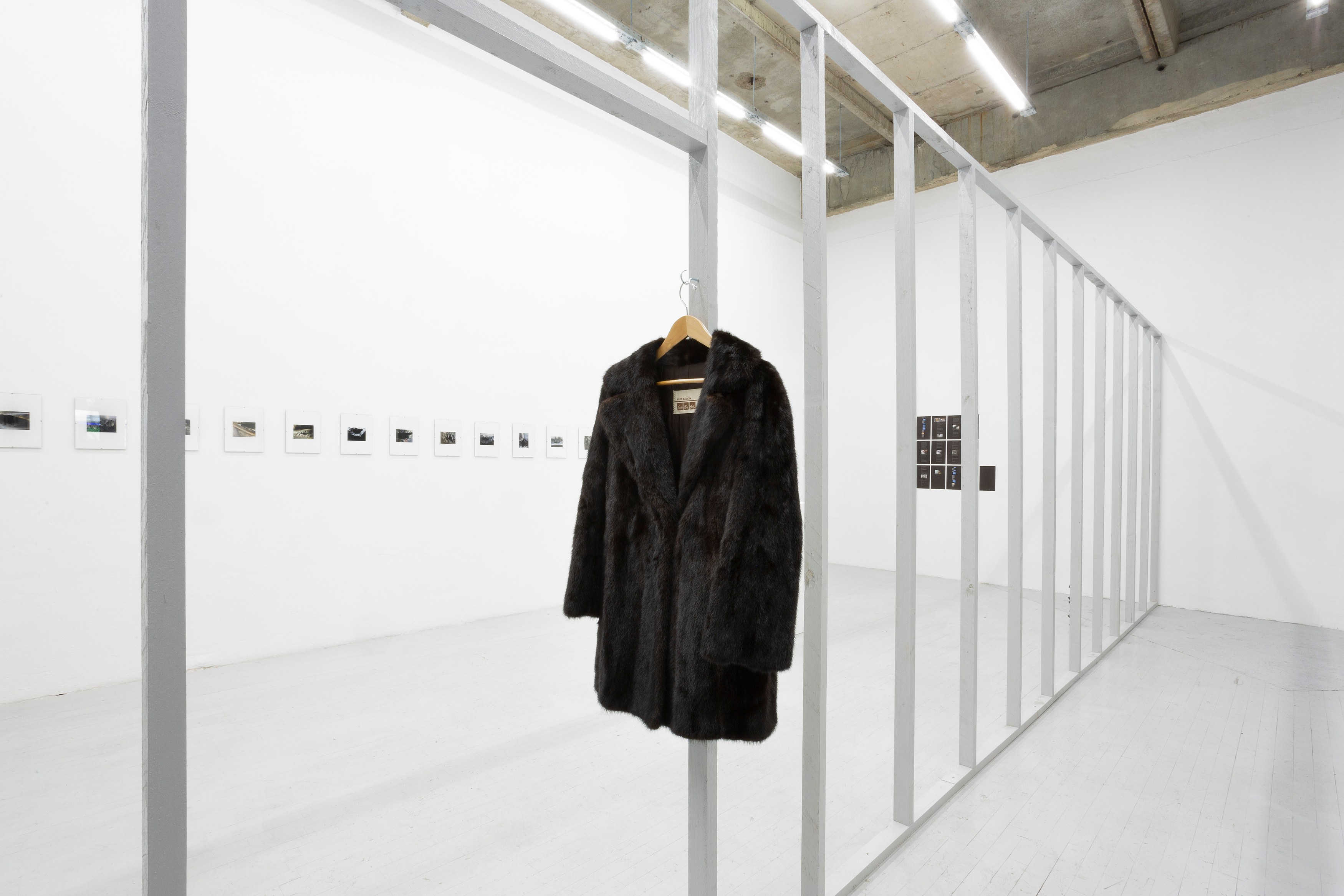 Thomas Love, John Neff, Survival On Land & Sea at Scherben, photo 9