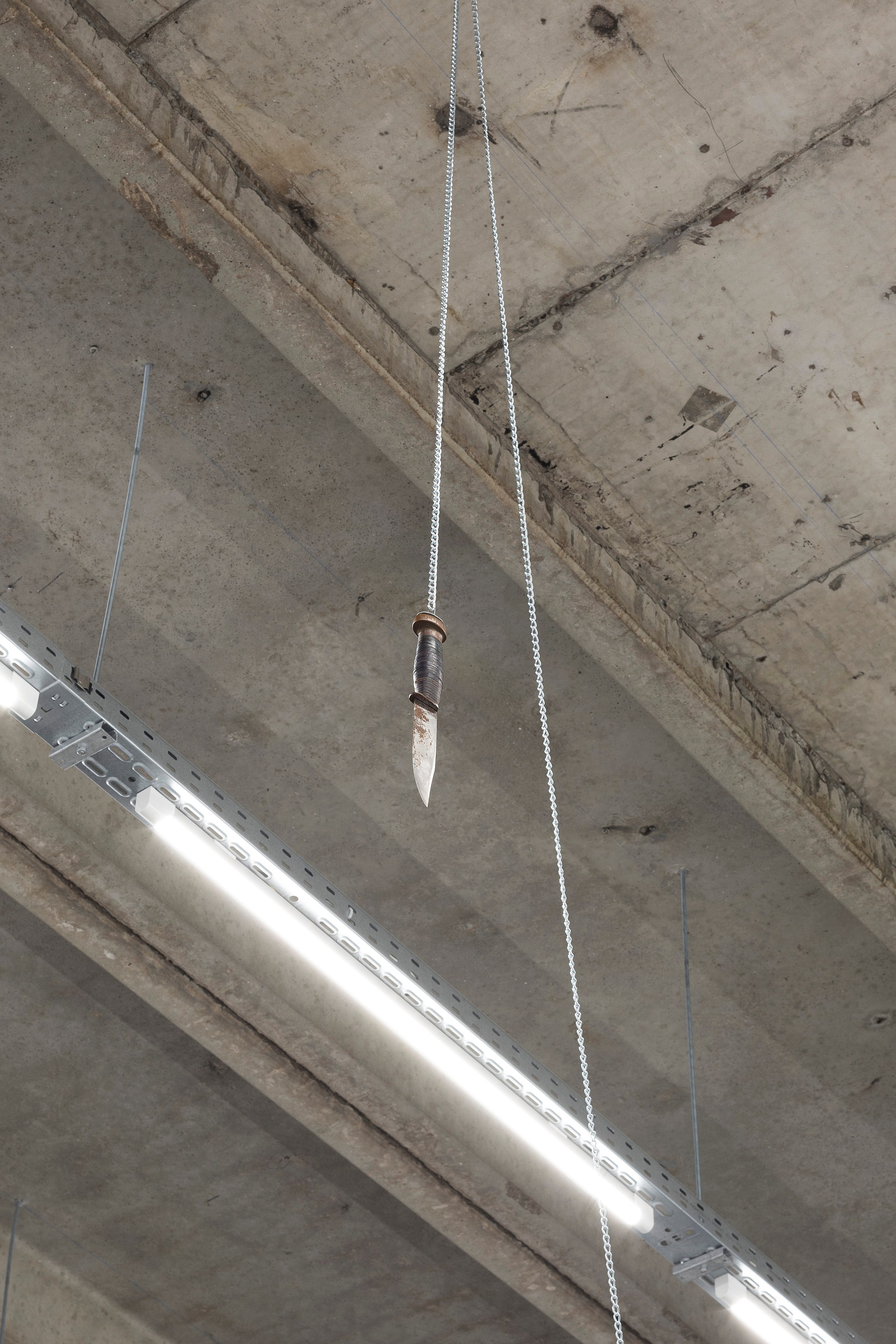 Thomas Love, John Neff, Survival On Land & Sea at Scherben, photo 12