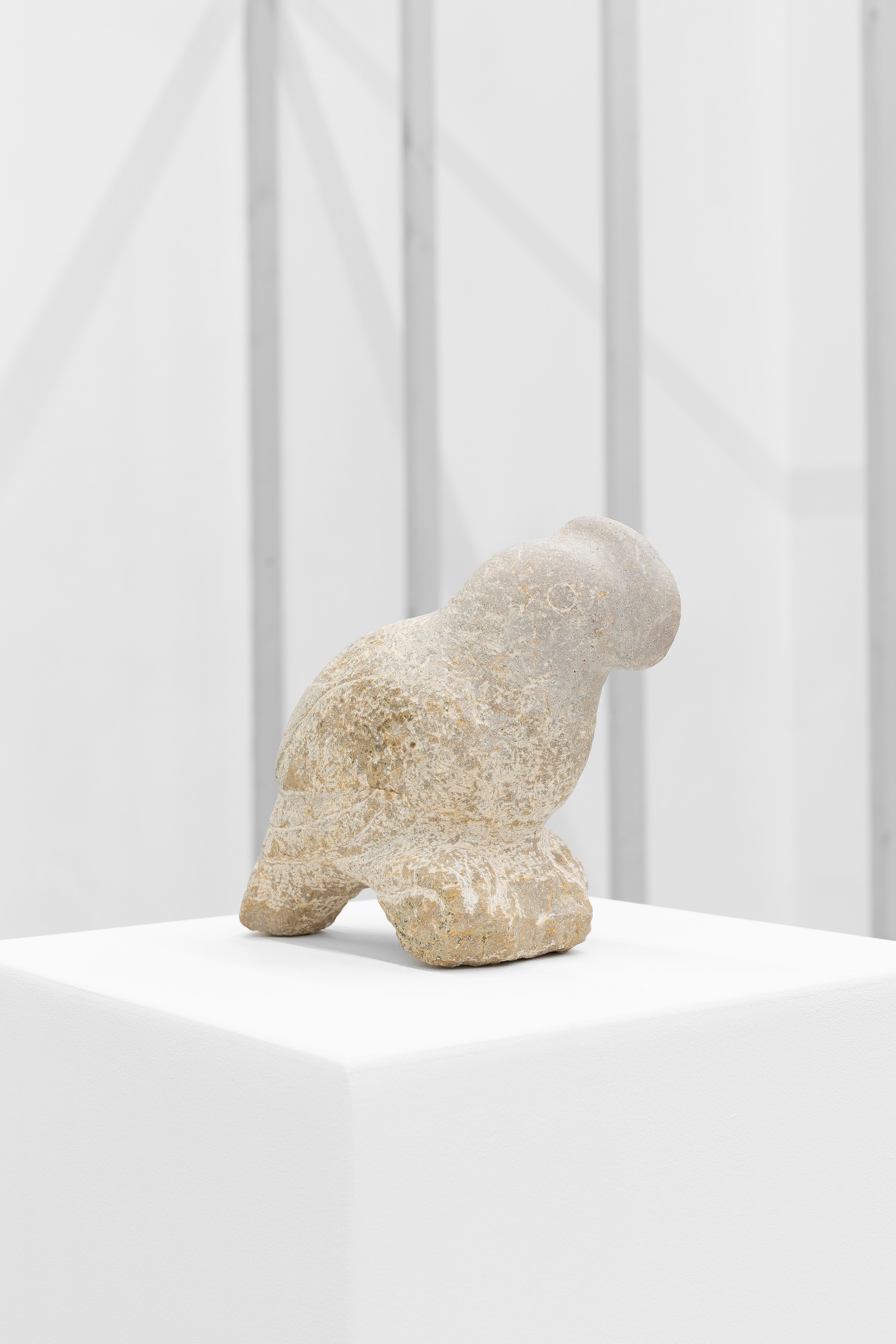 Thomas Love, John Neff, Survival On Land & Sea at Scherben, photo 14