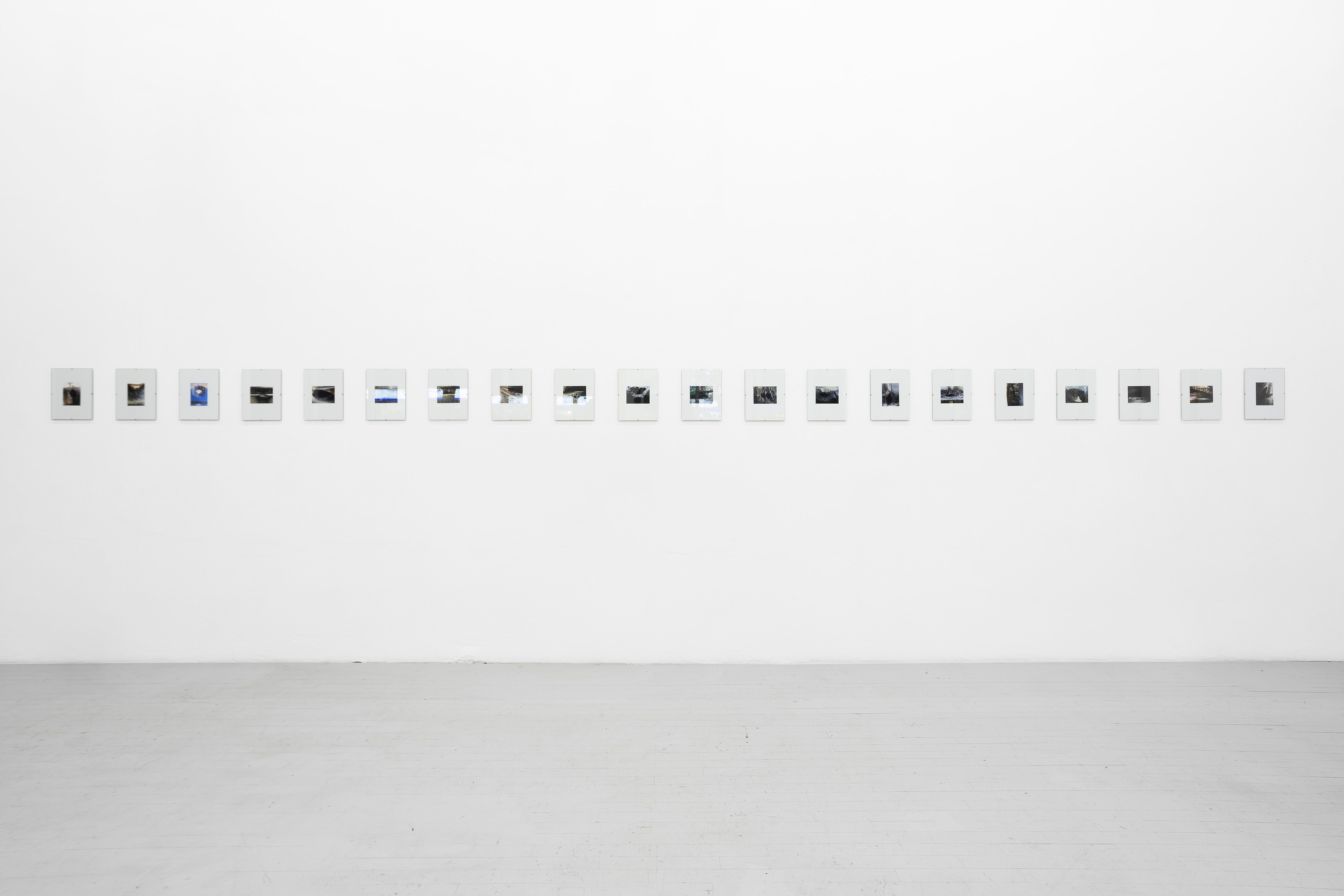 Thomas Love, John Neff, Survival On Land & Sea at Scherben, photo 16