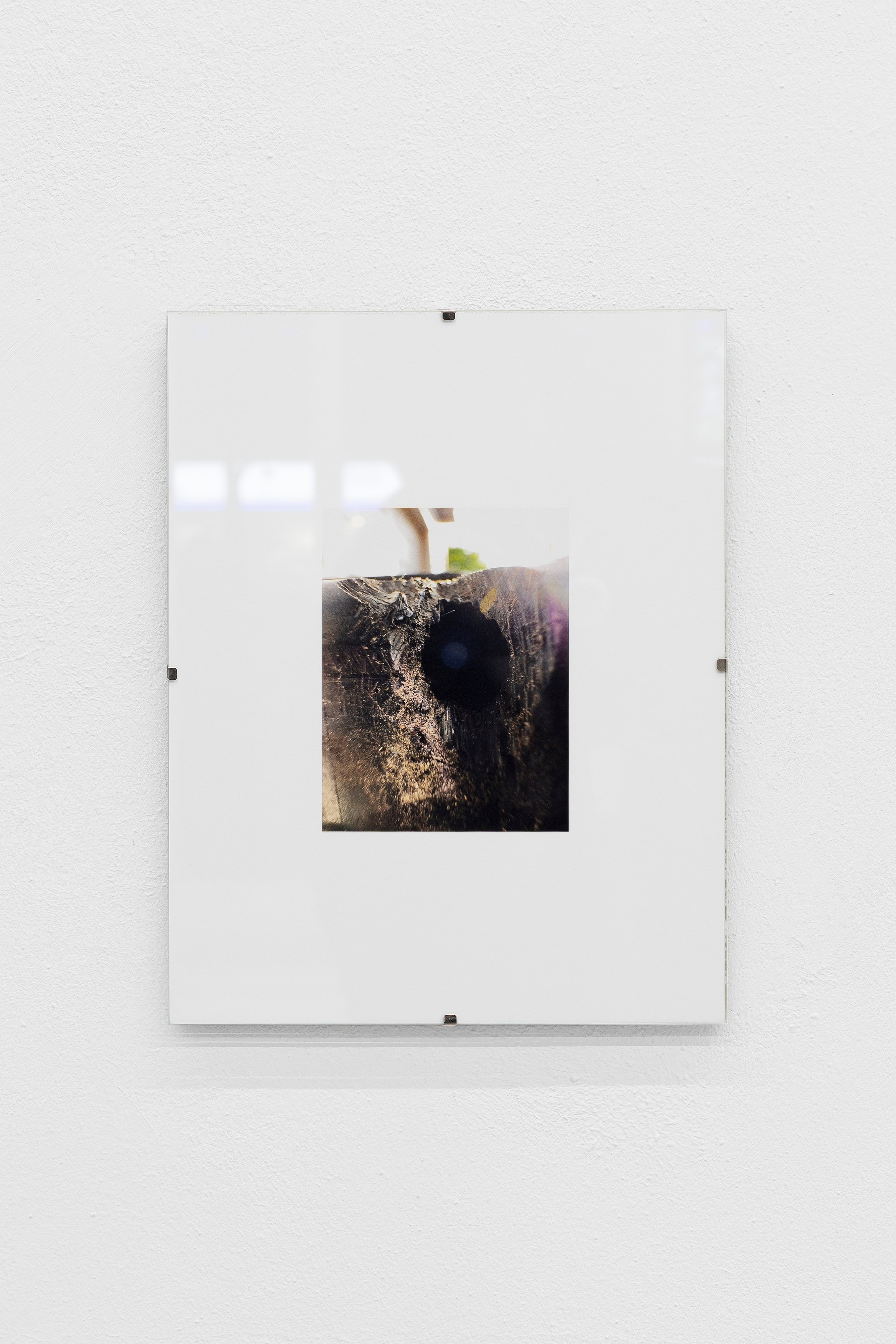 Thomas Love, John Neff, Survival On Land & Sea at Scherben, photo 17