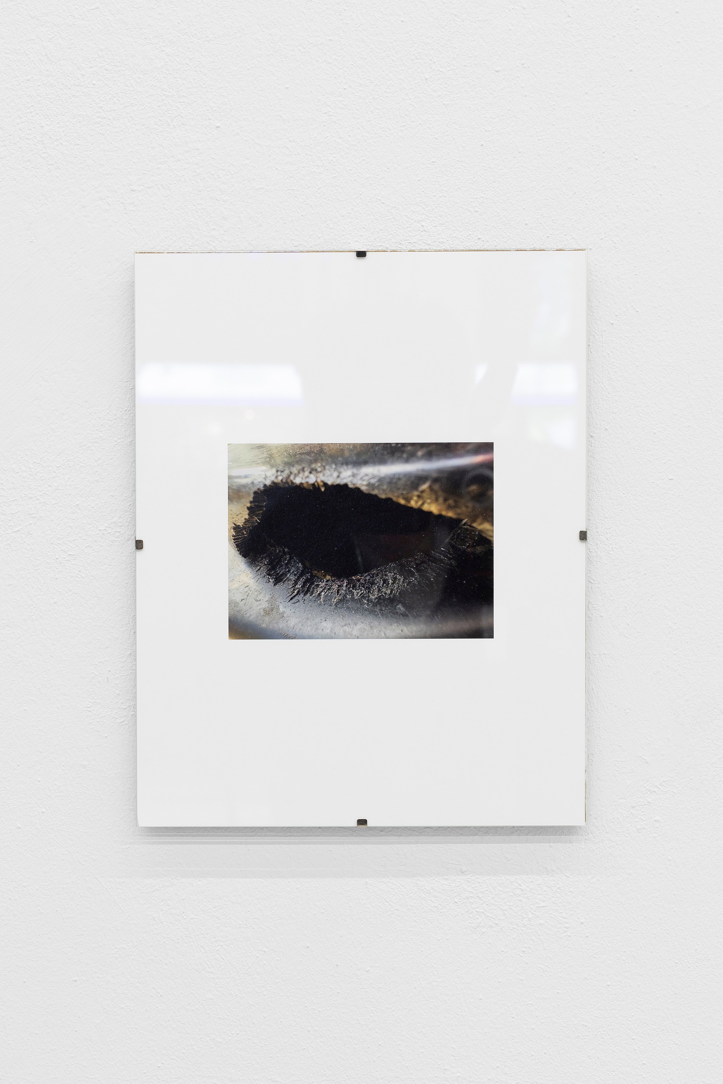 Thomas Love, John Neff, Survival On Land & Sea at Scherben, photo 20