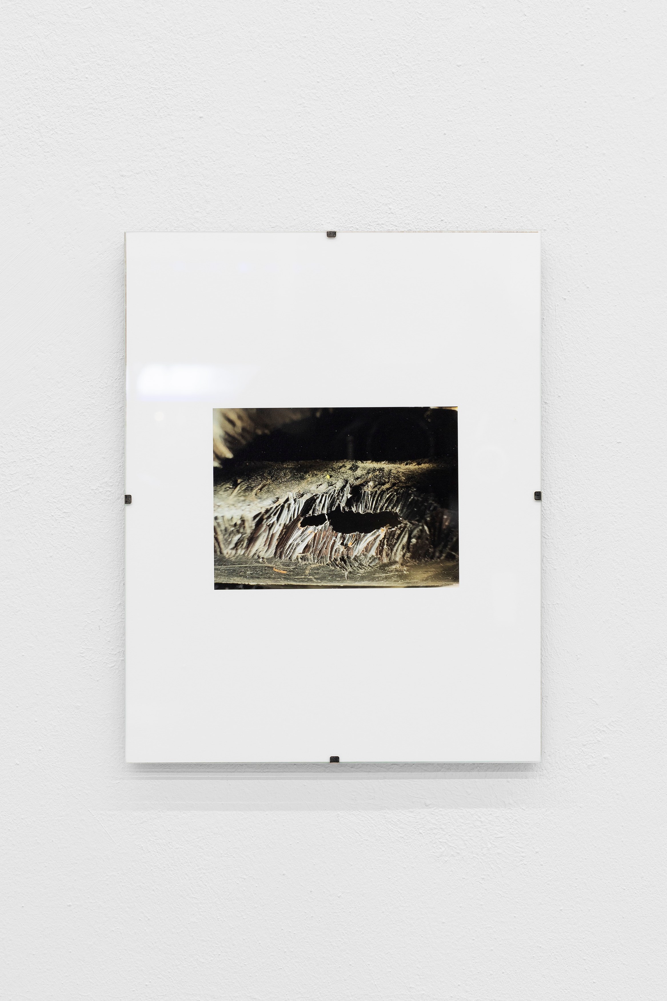 Thomas Love, John Neff, Survival On Land & Sea at Scherben, photo 21