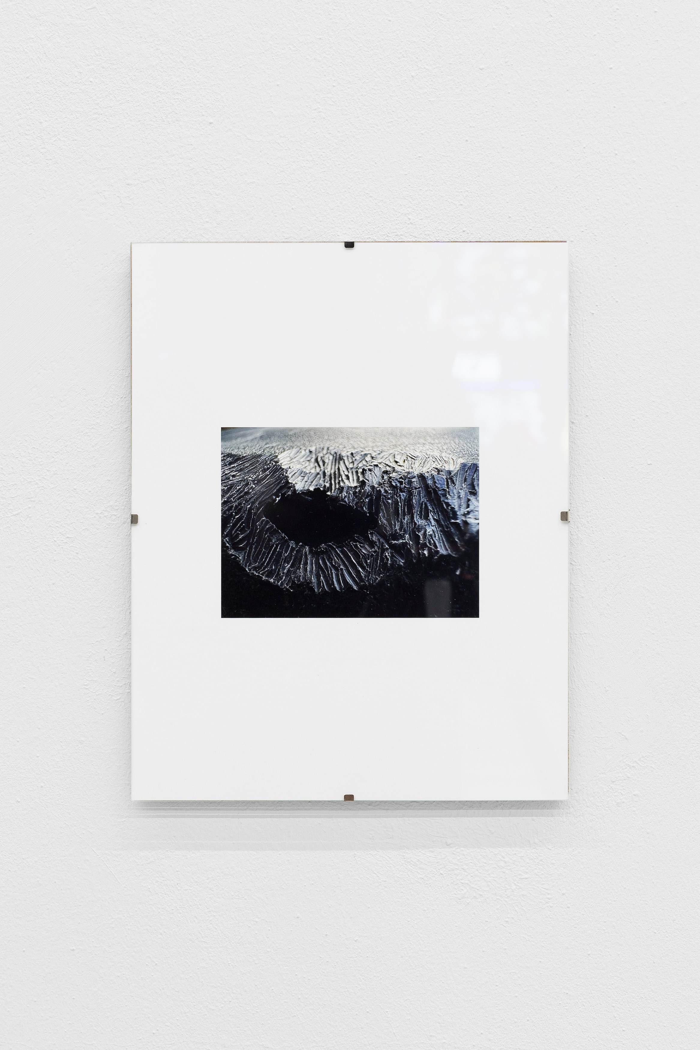 Thomas Love, John Neff, Survival On Land & Sea at Scherben, photo 22