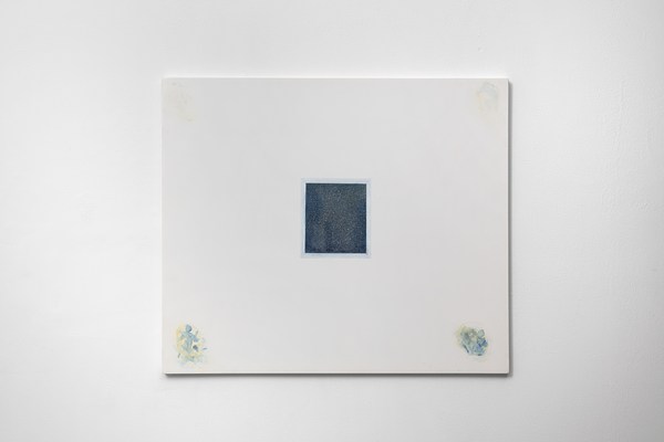 Image 11 of 16