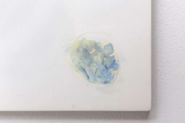 Image 14 of 16
