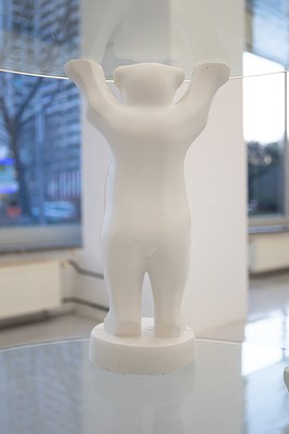 Image 14 of 17