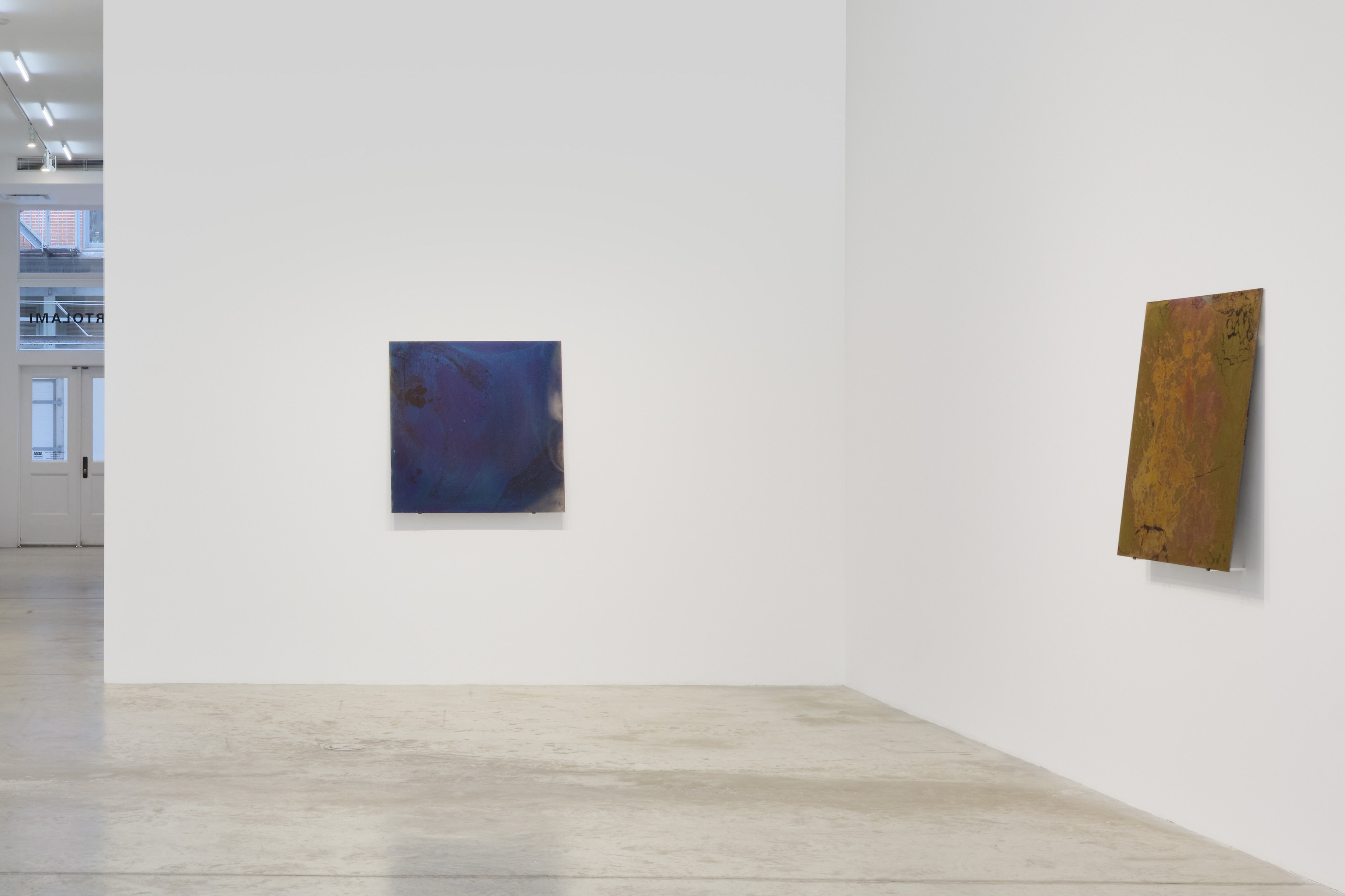 Ann Veronica Janssens, After the Peacock Wheel at Bortolami, photo 3