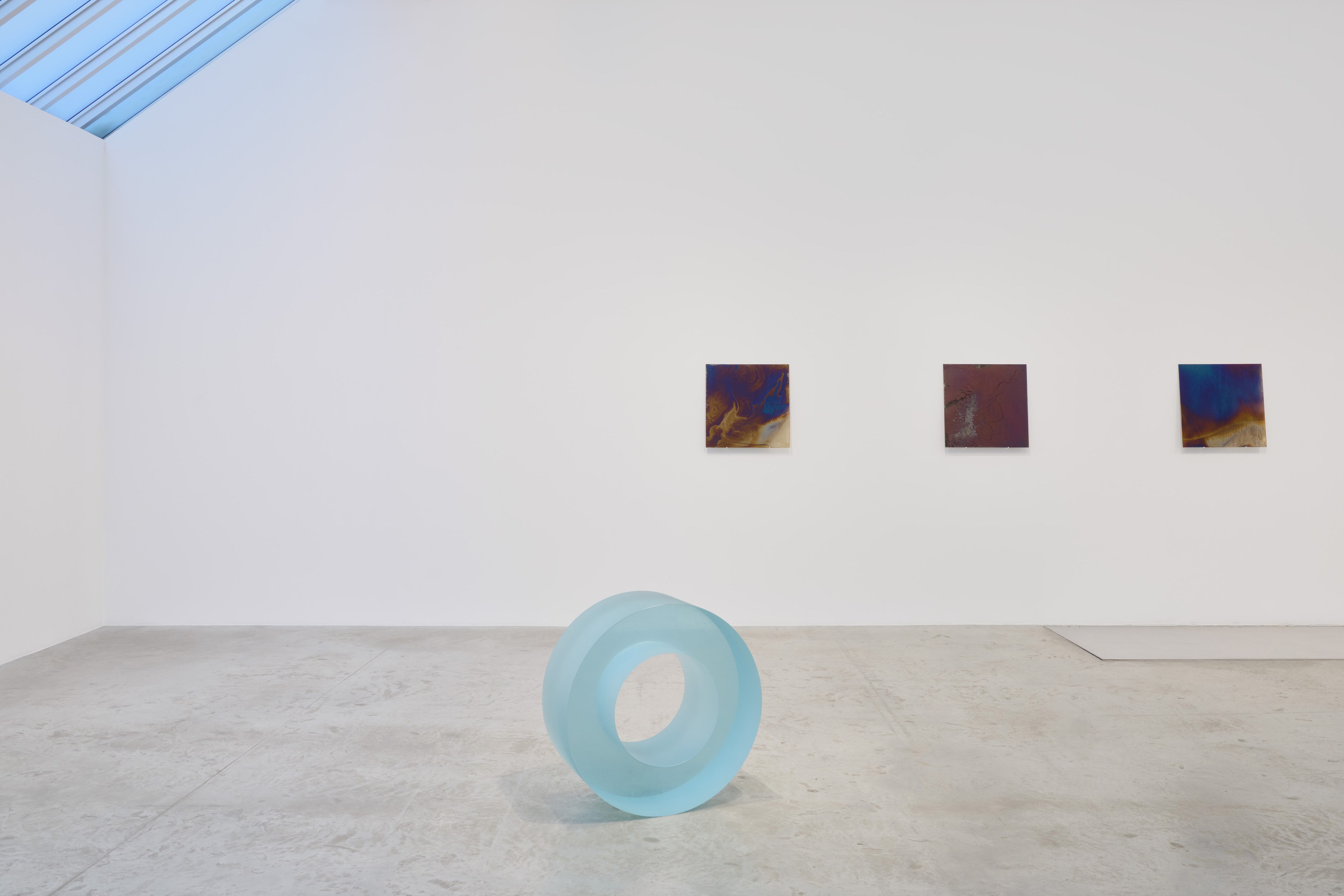 Ann Veronica Janssens, After the Peacock Wheel at Bortolami, photo 10
