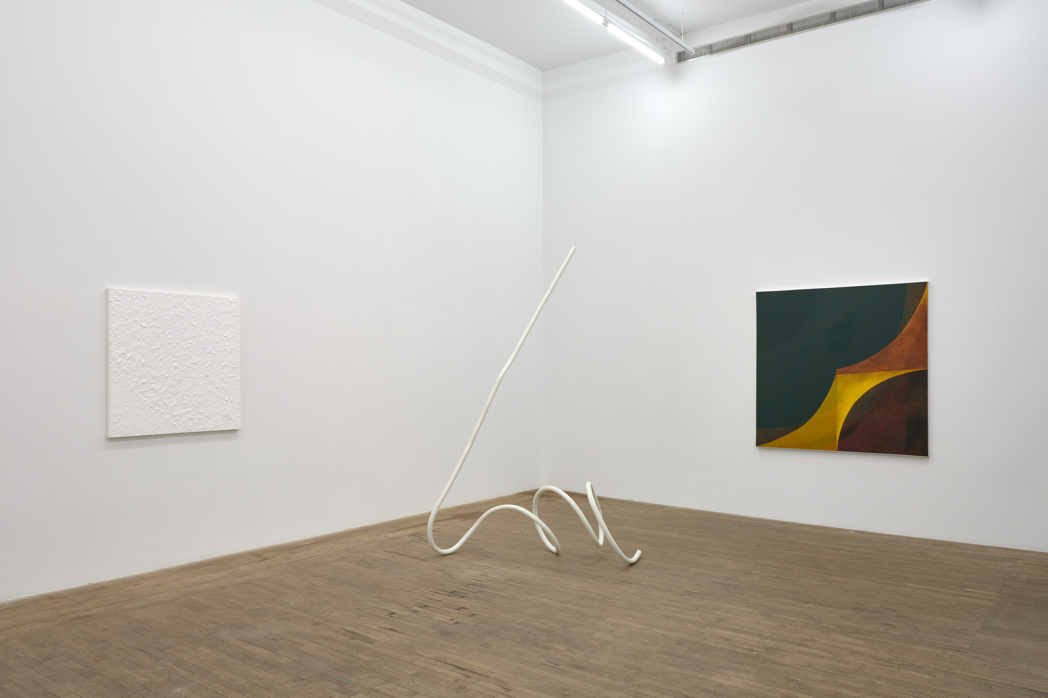 Tomie Ohtake, Works: 1969 - 2014 at Bortolami, photo 8