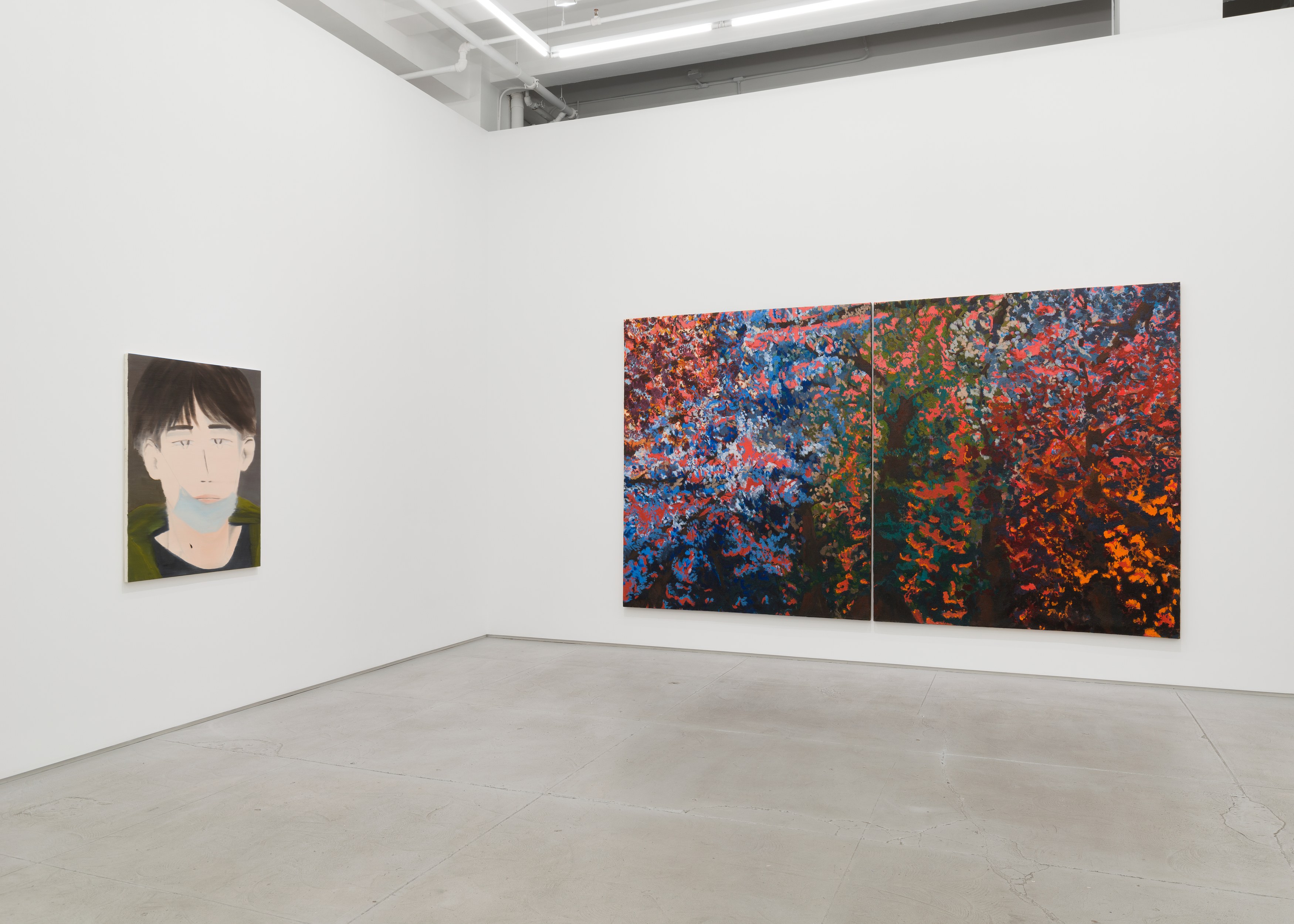 Installation view 8