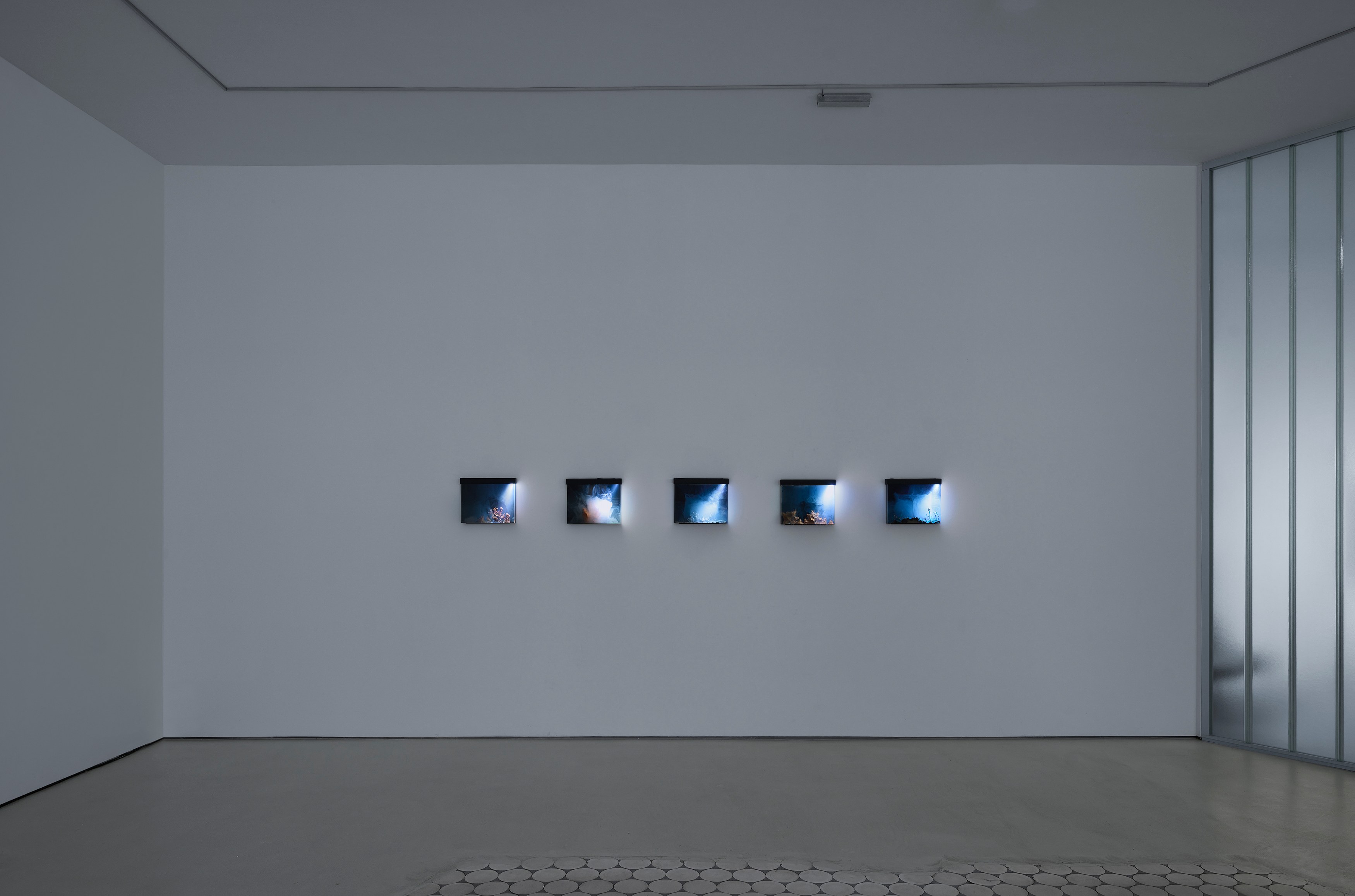 Hicham Berrada, Remains at Wentrup, photo 2