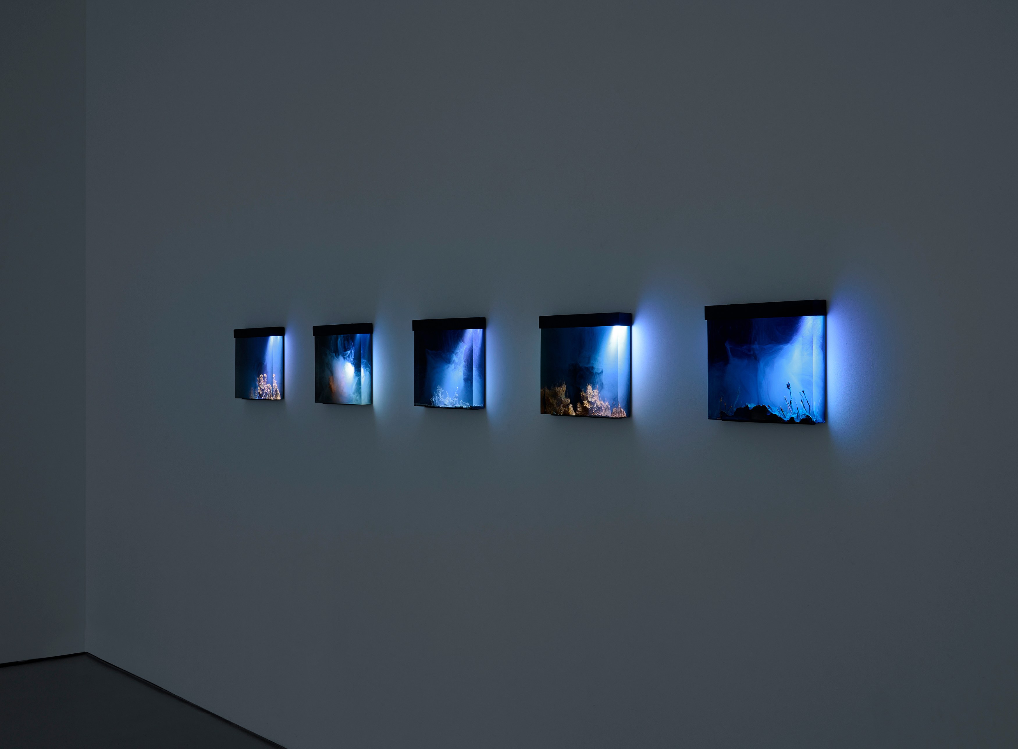 Hicham Berrada, Remains at Wentrup, photo 3