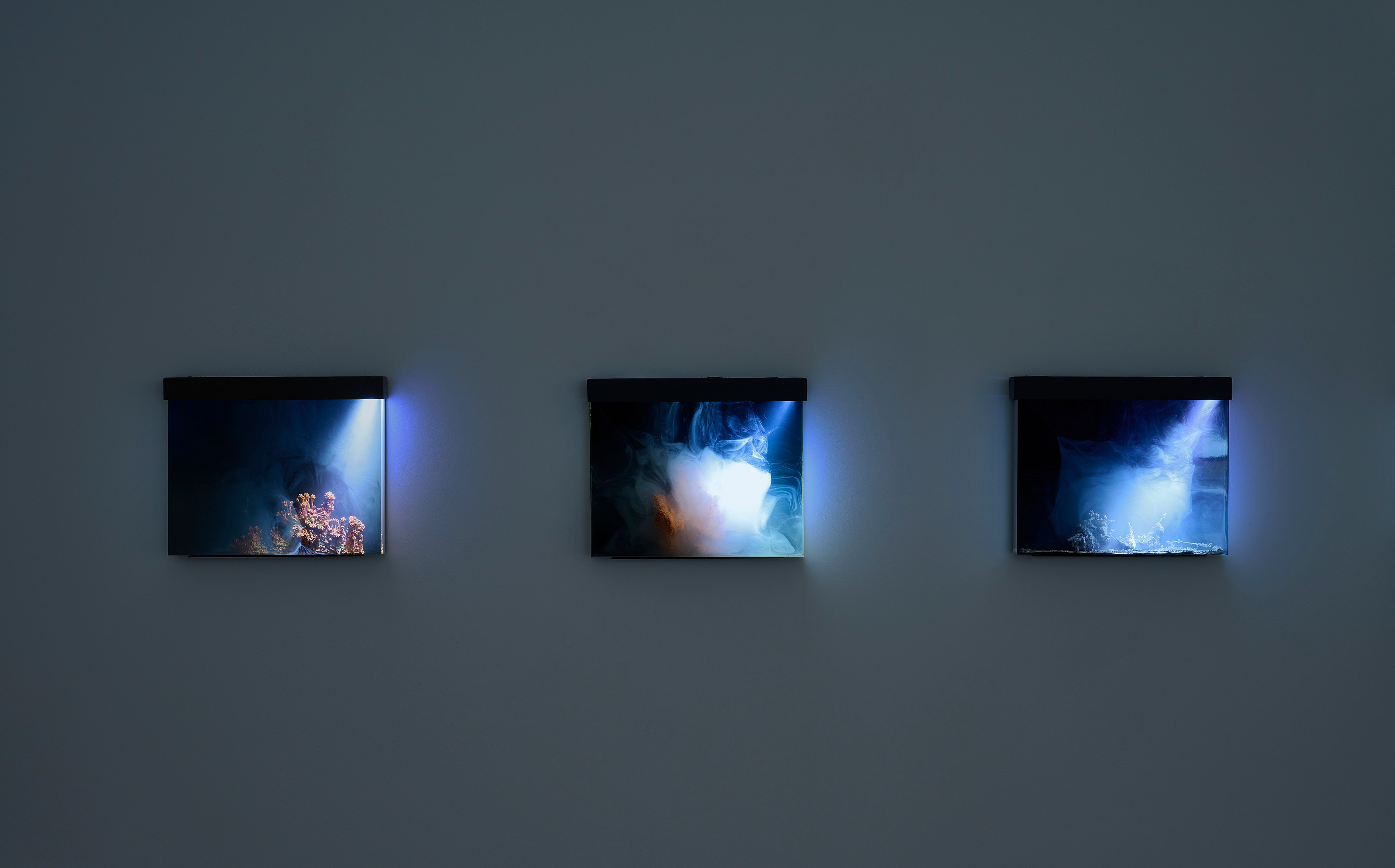 Hicham Berrada, Remains at Wentrup, photo 4