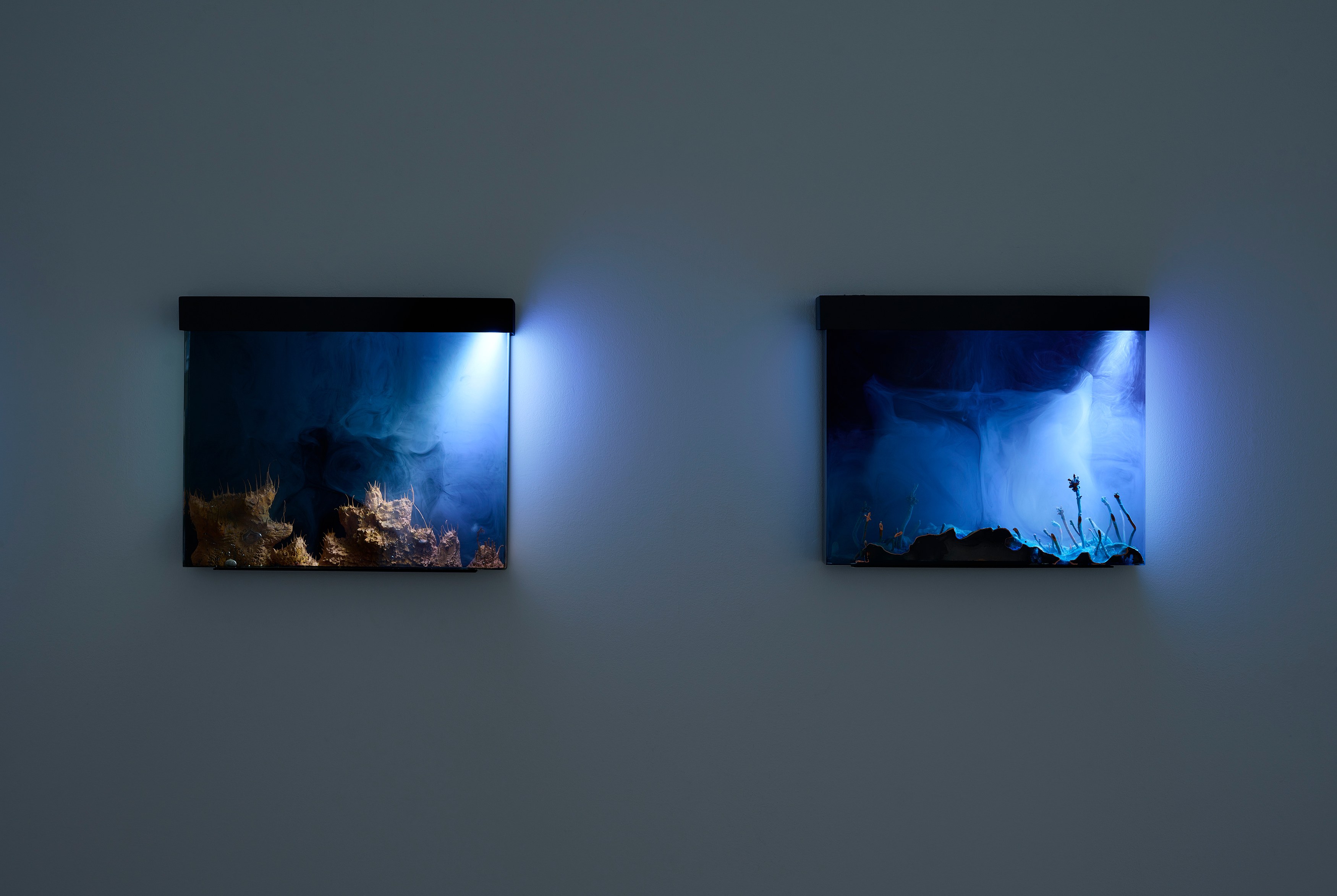 Hicham Berrada, Remains at Wentrup, photo 5