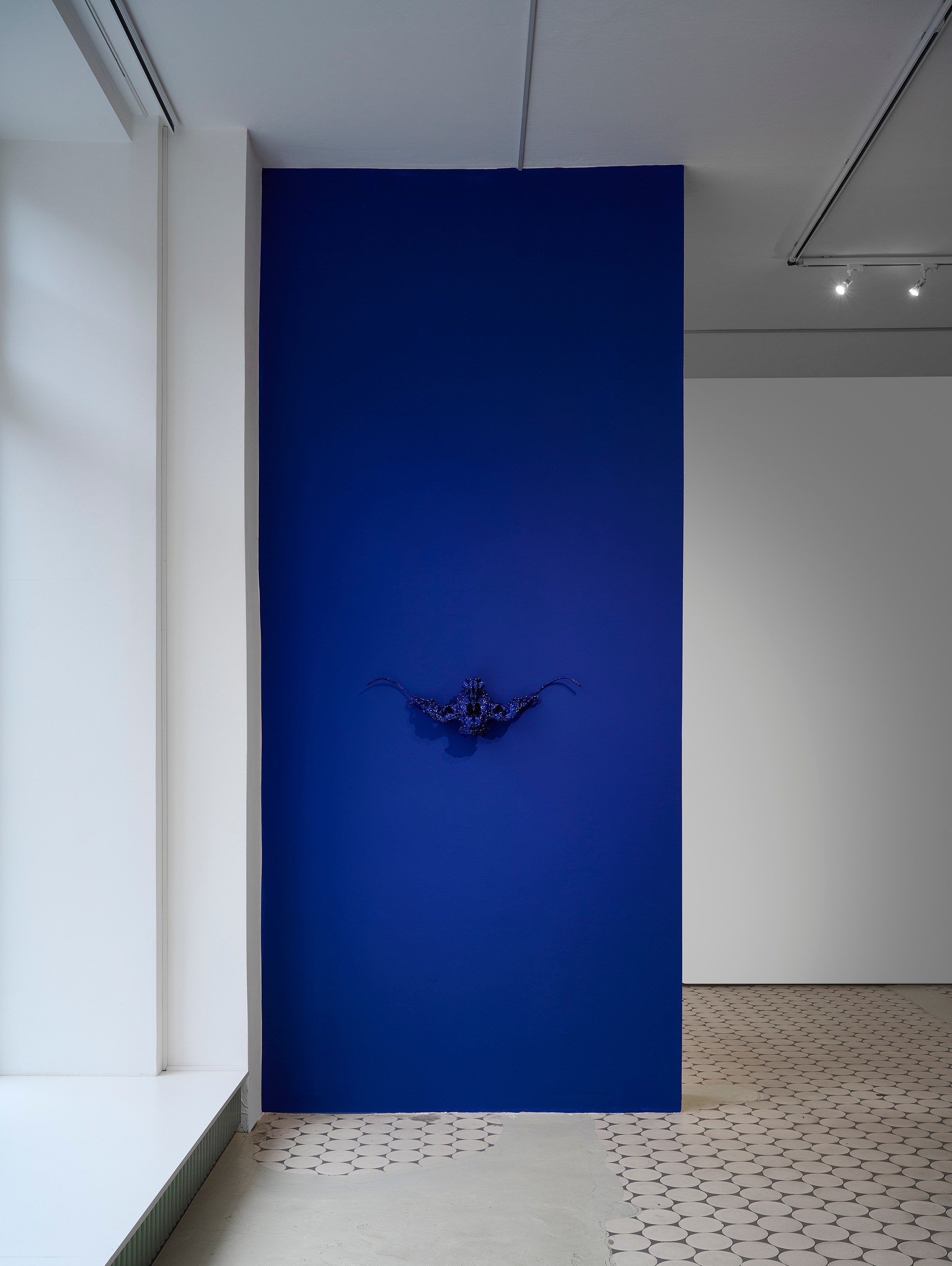 Hicham Berrada, Remains at Wentrup, photo 7